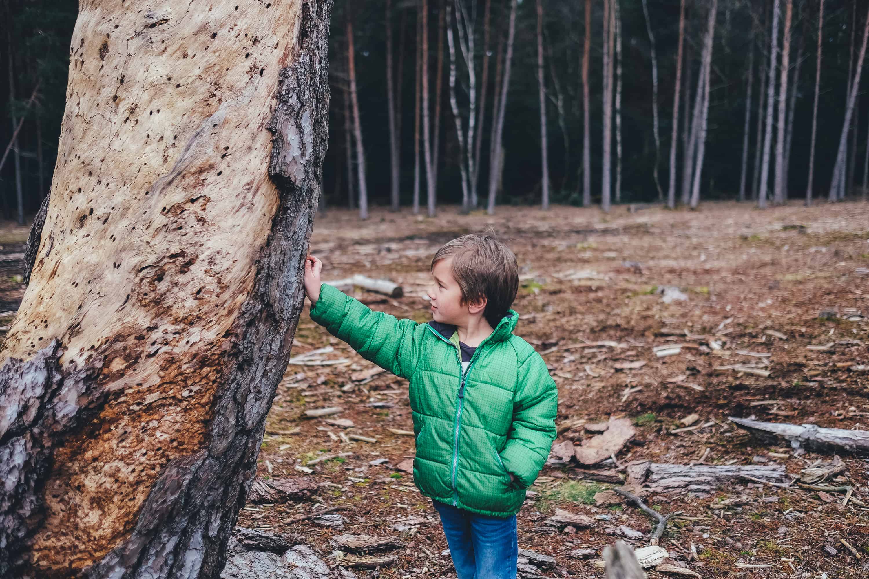 Geocaching with Kids: A Beginners Guide